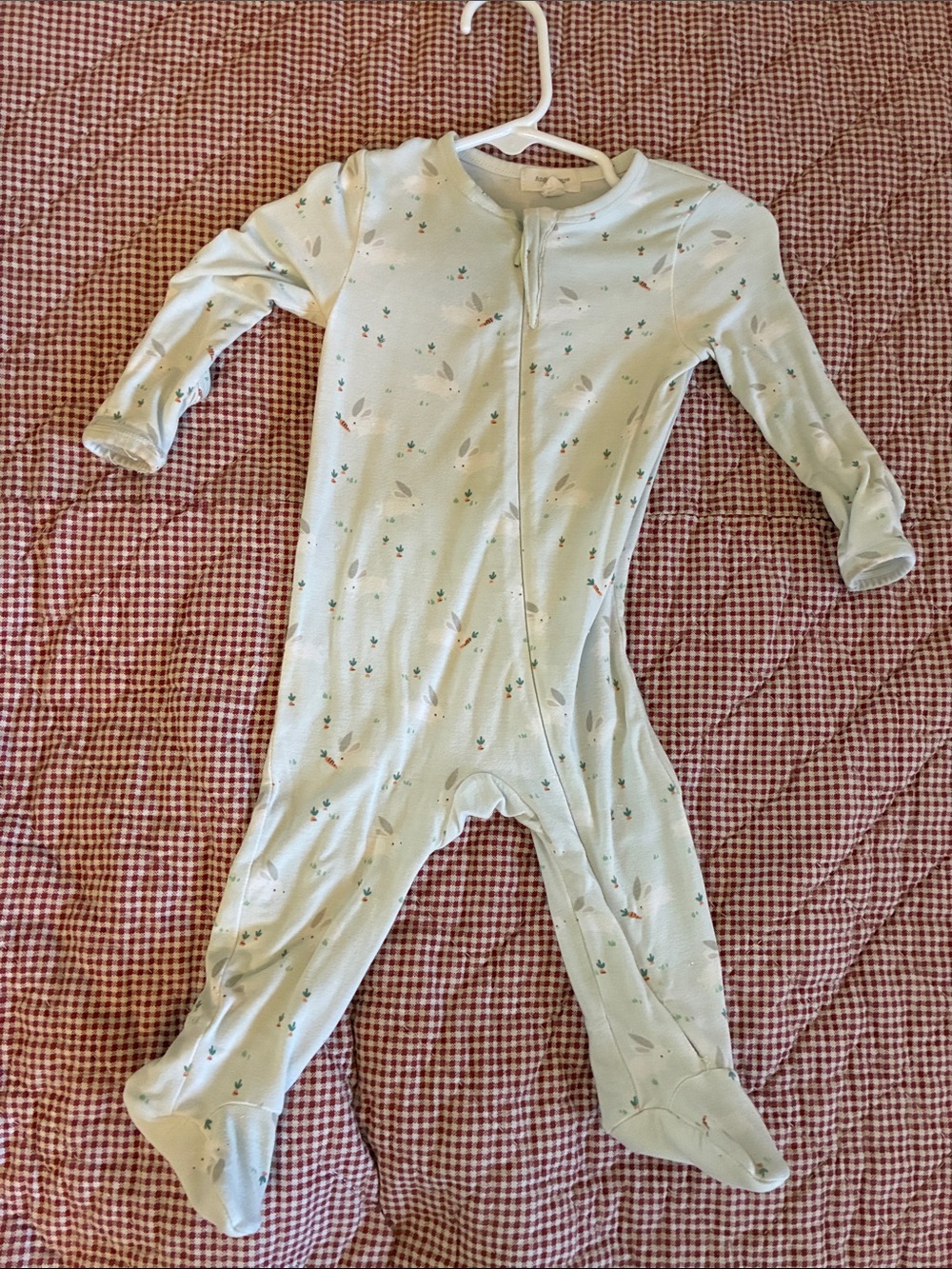 Angel dear Baby Footed One-Piece Pajamas in Light Sage with Tiny bunny Print